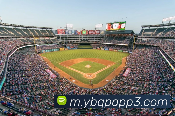 奖项证书